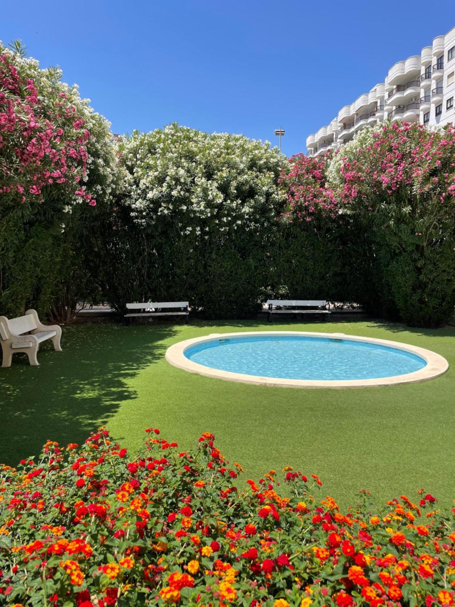 Boutique - Presidente - Premium En Primera Linea De Playa * Gandia